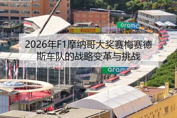 nian-mo-na-ge-da-jiang-sai-mei-sai-de-si-che-dui-de-zhan-lve-bian-ge-yu-tiao-zhan-2-220.jpg