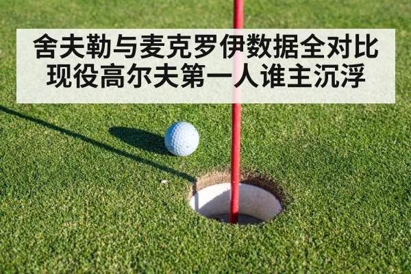舍夫勒与麦克罗伊数据全对比 现役高尔夫第一人谁主沉浮
